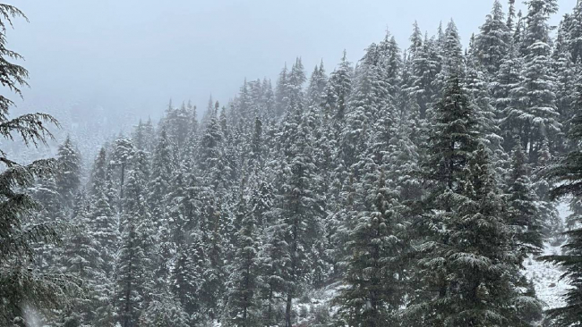 Adana'nın yüksek kesimlerine kar yağdı